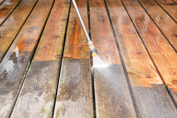 Best Fence Cleaning and Maintenance in Dundas, MN